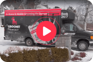 Groomit Mobile Van Service