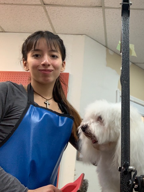 Chelsea S. - Dog Groomer in Middlesex