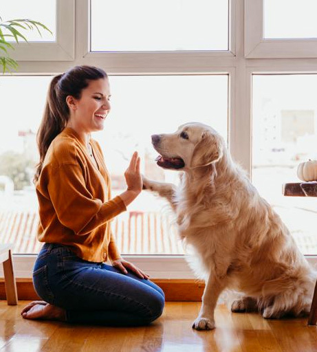 Girl with dog in living room