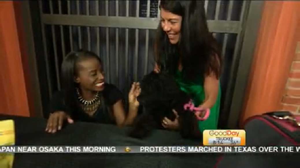 The Pet Lady stops by to tell us how to avoid overheating our pets this summer!