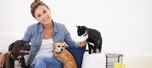 Trusted Pet Grooming Services and Best Pet Groomers in Arlington